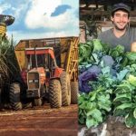 Cambio climático y seguridad alimentaria