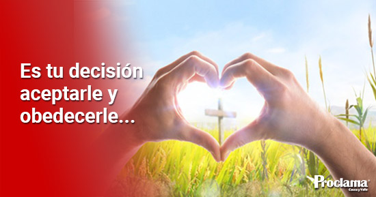 Nada nos puede separar del amor de Dios