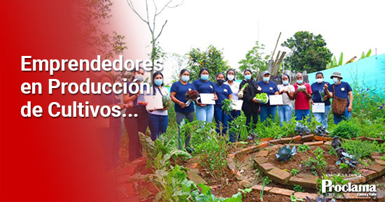 En-Quilichao-se-siembran-huertas-caseras-para-lograr-la-paz-Emprendedores-en-Produccion-de-Cultivos-Transitorios-1.jpg