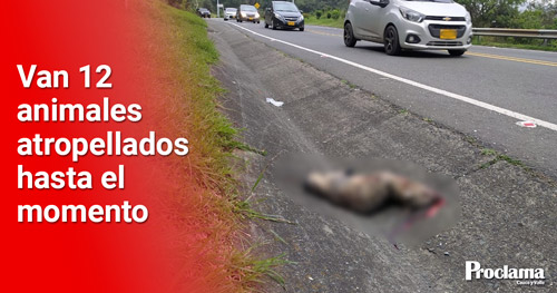 Movimiento-Ambientalista-del-Valle-solicita-a-INVIAS-senales-interespecie.jpg