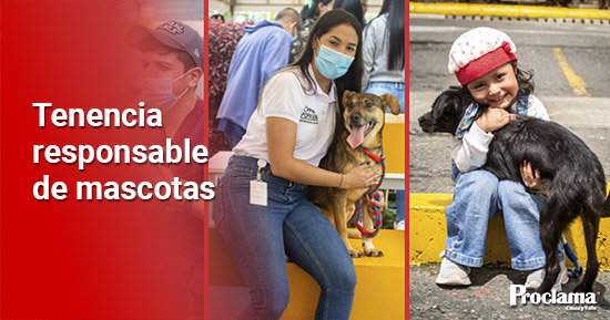 Se-reactivan-las-campanas-animalistas-en-Popayan6.jpg