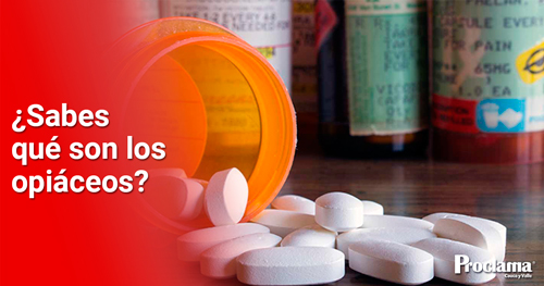 Sabes-que-son-los-opiaceos-6.jpg