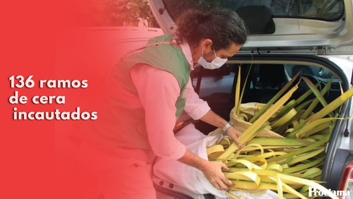 Este-fue-el-balance-del-control-al-trafico-de-especies-en-Semana-Santa.jpg