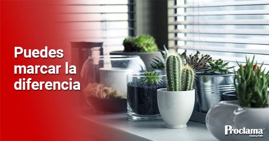 Tres opciones sencillas para decorar tu hogar Tres opciones sencillas para decorar tu hogar