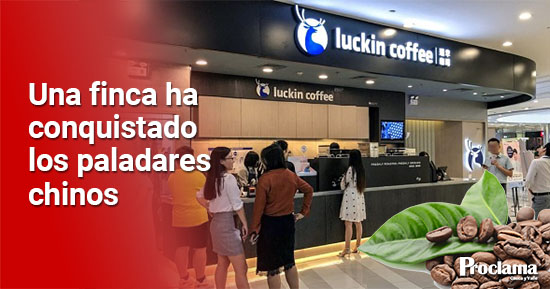 Cafe-caucano-llega-hasta-las-cafeterias-de-China.-1.jpg