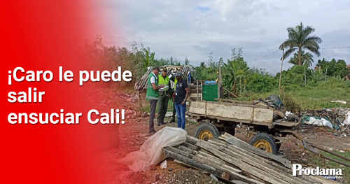 Estas-seran-las-sanciones-para-quienes-arrojen-basura-en-las-calles-de-Cali1.jpg