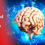 El cerebro nos engaña