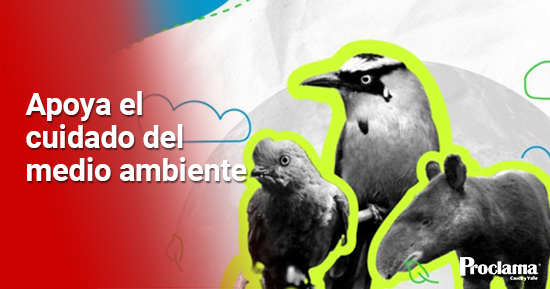 CRC-invita-a-proteger-la-fauna-caucana-y-los-recursos-naturales3.jpg