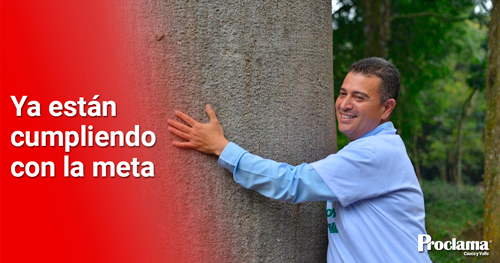 La-CVC-ha-logrado-sembrar-5-millones-de-arboles-en-el-Valle-1.jpg