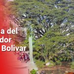 BICENTENARIO LIBERTADOR AL SUR