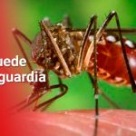 El Valle registró 819 casos de Dengue