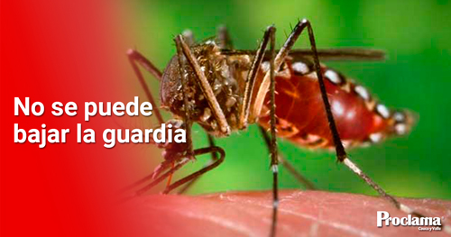 El-Valle-registro-819-casos-de-Dengue1.jpg