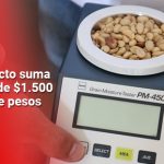 Fortalecimiento de cultivos cafeteros en Quilichao