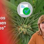Gobernadora reiteró llamado a legalizar el cannabis