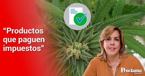 Gobernadora-reitero-llamado-a-legalizar-el-cannabis-2.jpg