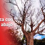 S.O.S.: SEÑOR ALCALDE, AYÚDENOS