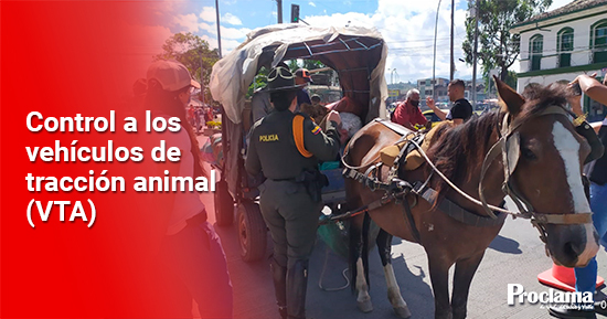 control-a-los-vehiculos-de-traccion-animal-VTA.jpg