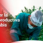 Comité Técnico de la Cadena Productiva de Cannabis