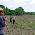 ¿Desalambrar o industrializar?