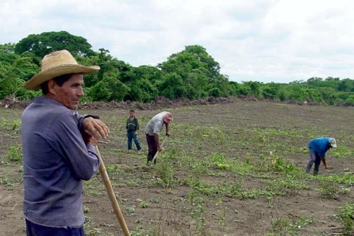 Desalambrar o industrializar