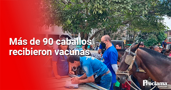 mas-de-90-caballos-recibieron-la-vacuna.jpg
