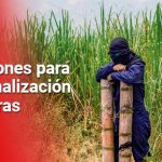 La reforma agraria en el Cauca
