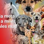 todos a unirse a la tercera edición de la donatón ‘Salvando Huellas’