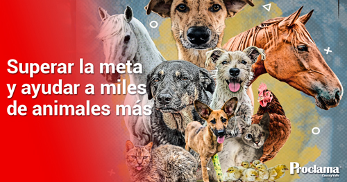 todos-a-unirse-a-la-tercera-edicion-de-la-donaton-‘Salvando-Huellas-1.jpg