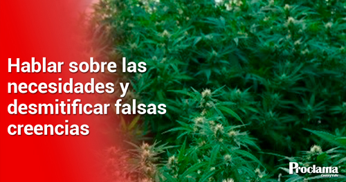 Asi-sera-la-I-Cumbre-Nacional-de-Cannabis-y-Canamo-en-el-Valle-4.jpg