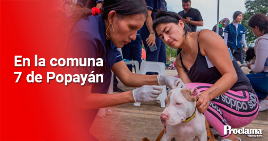 Jornada-de-bienestar-animal-beneficio-a-500-mascotas1.jpg