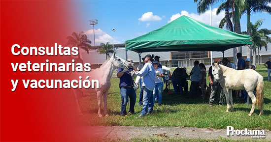 Quilichao-Vive-el-Bienestar-Animal-del-1-al-4-de-Noviembre-de-2022-1.jpg