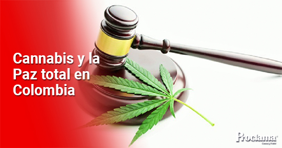 Cannabis-y-la-Paz-total-en-Colombia.jpg