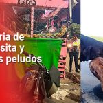 El refugio de perros que recorre Colombia en una moto