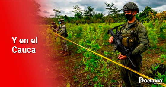 Impacto-de-la-guerra-contra-las-drogas-en-Colombia.jpg