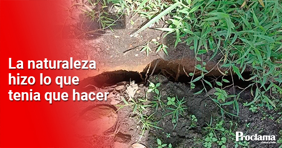 La-naturaleza-tambien-hace-milagros.jpg
