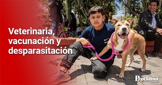 Inician-las-jornadas-masivas-de-atencion-a-animales-en-Popayan-1.jpg
