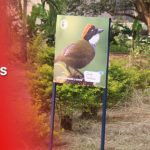 Quilichao-trabaja-para-ser-potencia-ambiental-en-el-Cauca