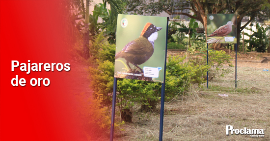 Quilichao-trabaja-para-ser-potencia-ambiental-en-el-Cauca.jpg