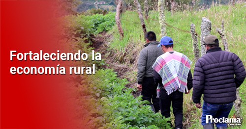 68-mil-millones-para-la-agricultura-en-el-Cauca-destacada.jpg