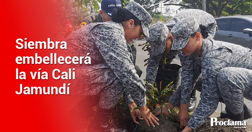 A-1.453-plantas-adornaran-la-via-Cali-Jamundi-2.jpg