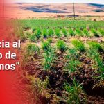 ¿Dónde está el cambio de propiedad de la tierra?