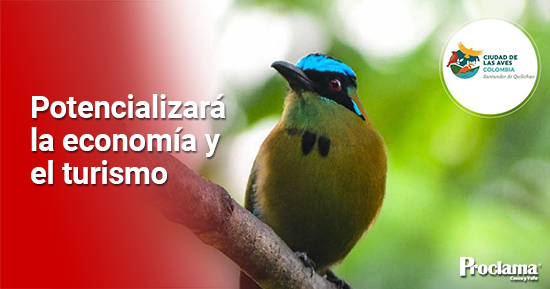 Santander-de-Quilichao-Ciudad-de-las-Aves-1.jpg