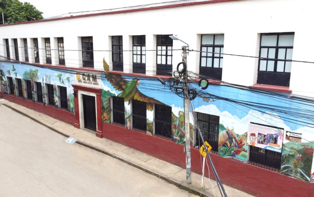 Un-mural-a-la-belleza-de-las-aves-en-Quilichao4jpg-1024x644.jpg