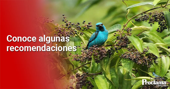 Algunos-lugares-turisticos-en-el-departamento-del-Cauca-1.jpg