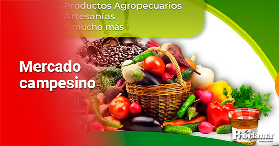 Canastas-de-Paz-de-Comfacauca1