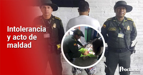 Capturado por disparar y matar a un gato en Popayán2