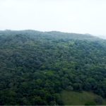 Consejo de Estado ordena conservación de ecosistema en Quilichao