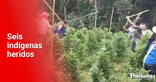 Indigenas-y-campesinos-luchan-por-la-marihuana-en-Quilichao.jpg