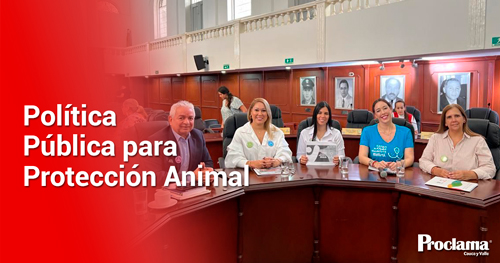 Politica-Publica-para-Proteccion-Animal.jpg