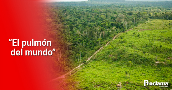 Por-la-recuperación-de-la-Amazonia Por-la-recuperación-de-la-Amazonia